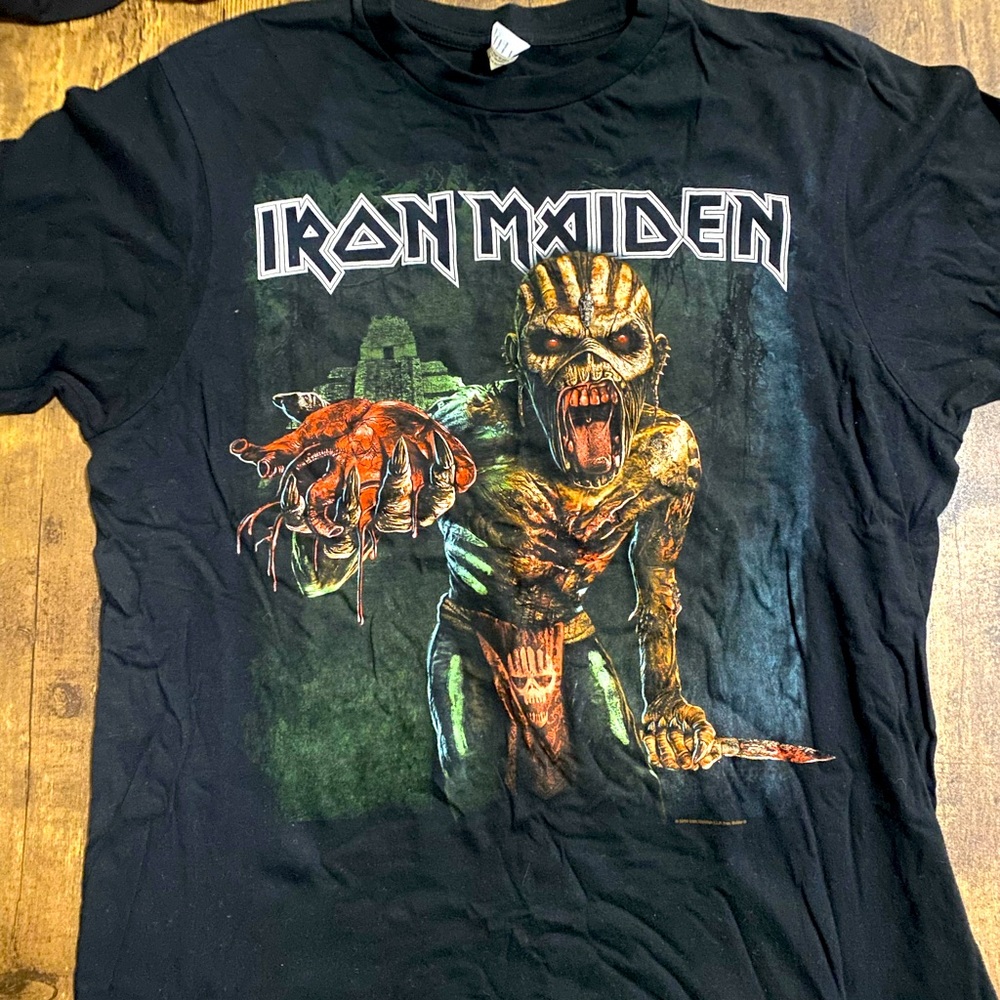 Vintage Iron Maiden “BOOK OF SOULS” North America tour t-shirt